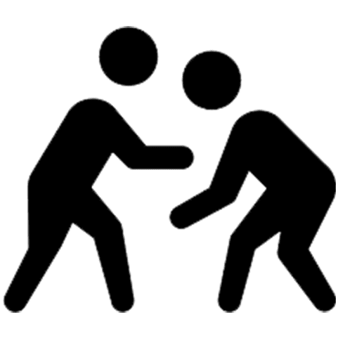 Kabaddi Game icon